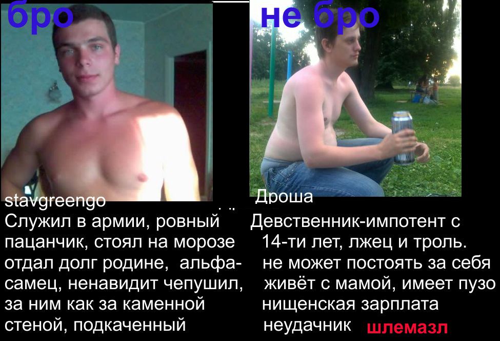 721959.jpg