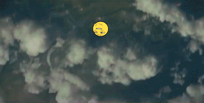727298_original_1.gif