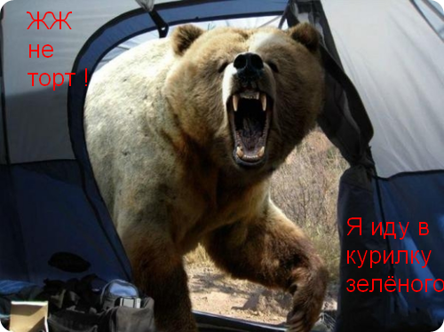 754848489.png