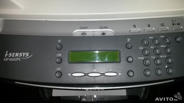 772308176.jpg