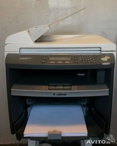 772308207.jpg