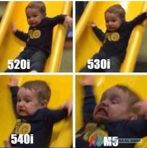 7875697.jpg