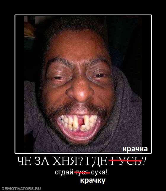 788167_che-za-hnya-gde-gus.jpg