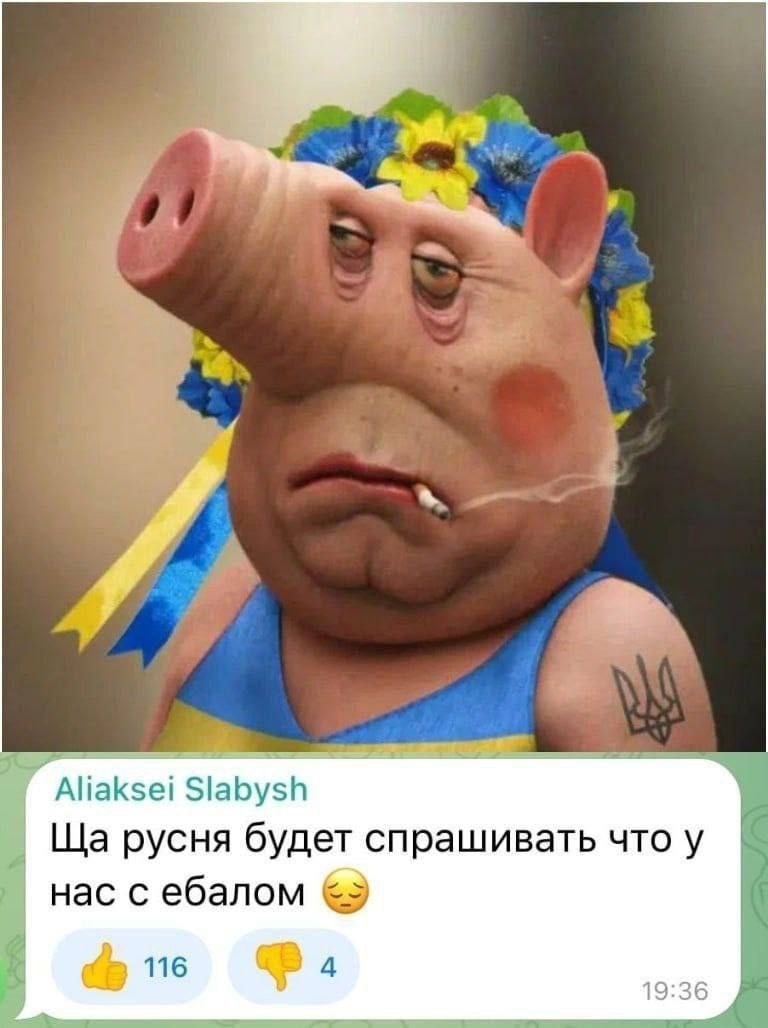 7sKRp4KWcP4.jpg