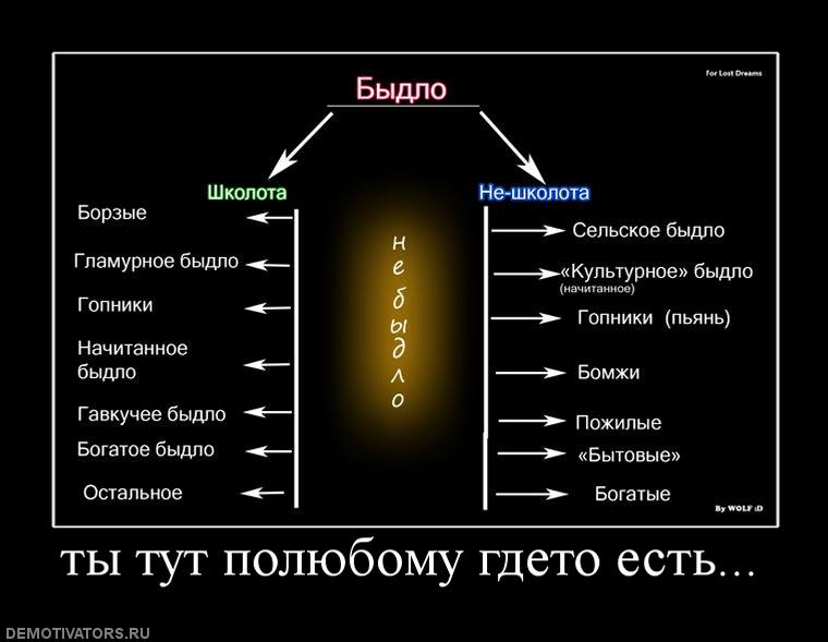 838804_tyi-tut-polyubomu-gdeto-est.jpg