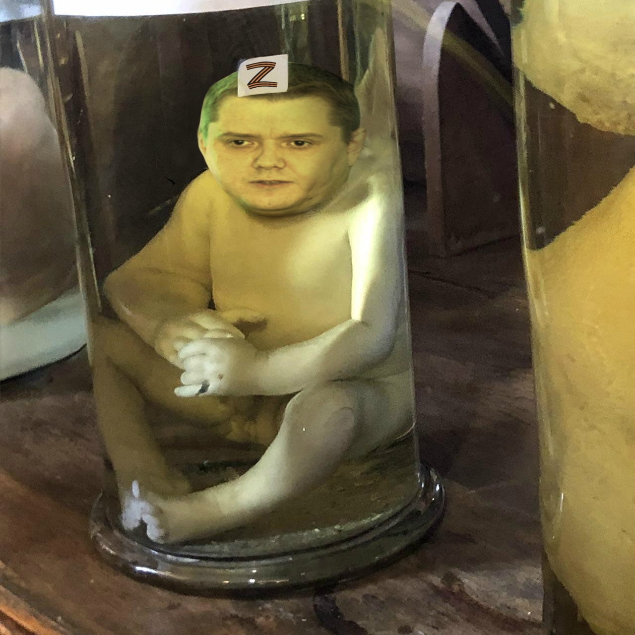 8569073.jpg