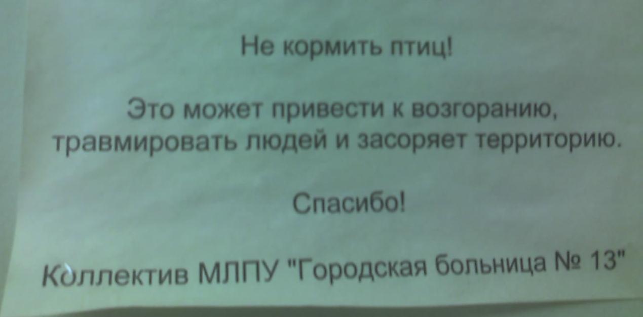 .JPG
