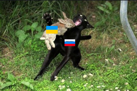8755330.png