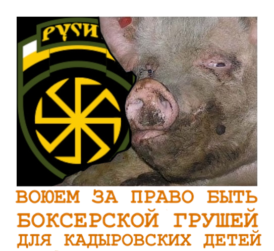 884530063.png