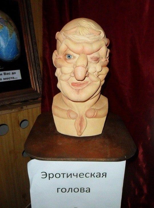 8955163.jpg