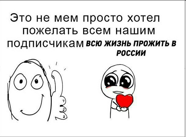 8955658894.png