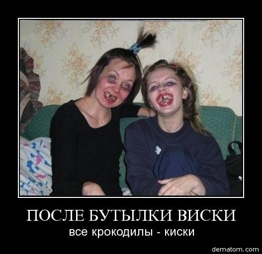 89749-posle_butylki_viski_vse_krokodily_kiski.jpg