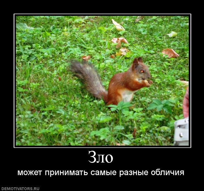 899661_zlo.jpg