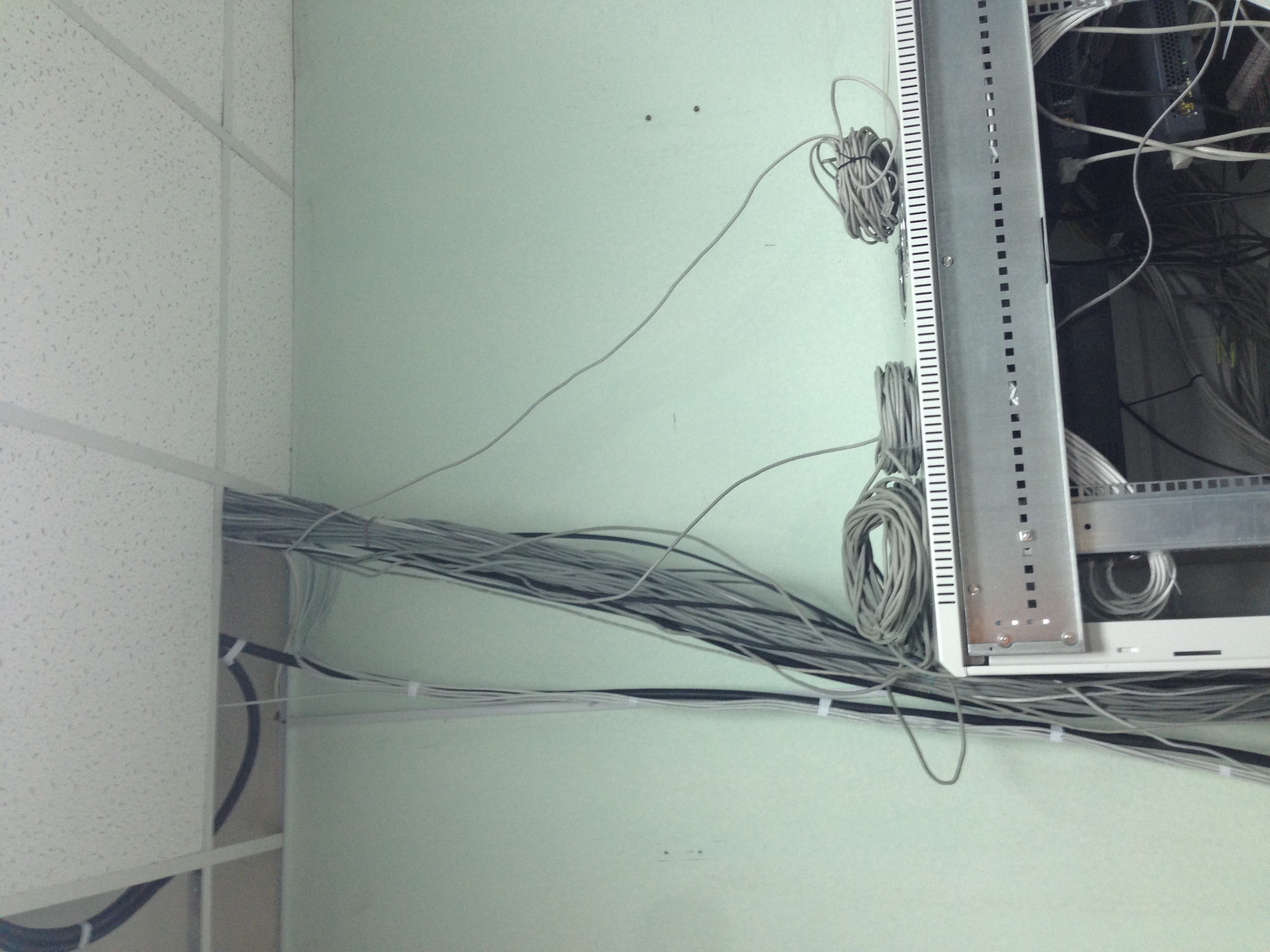 8A620913-B612-442B-B4CD-D06DE508D421.jpeg