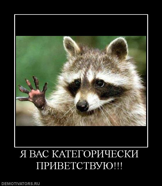 8d398dc68dc04d0ad36733e13ecb72d0.jpg