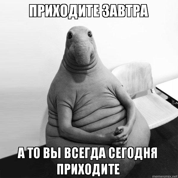 8jvqoi.jpg