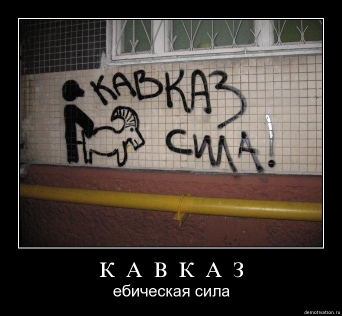 8nem4vxres33.jpg