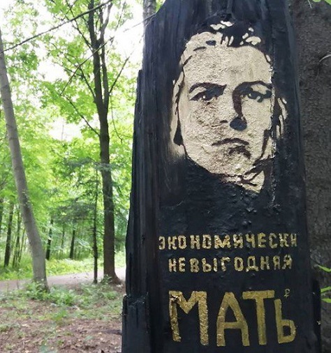 9252640.jpg