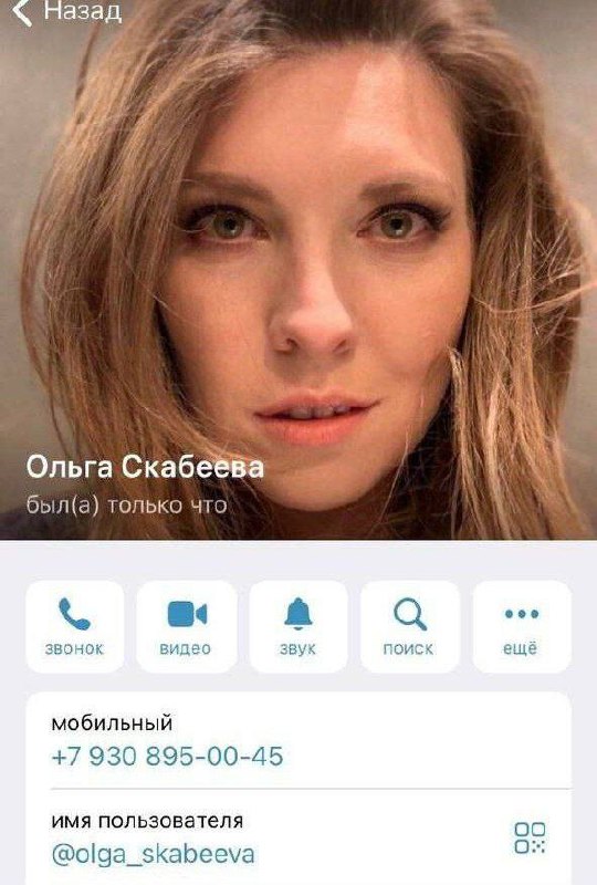 92768490.jpg