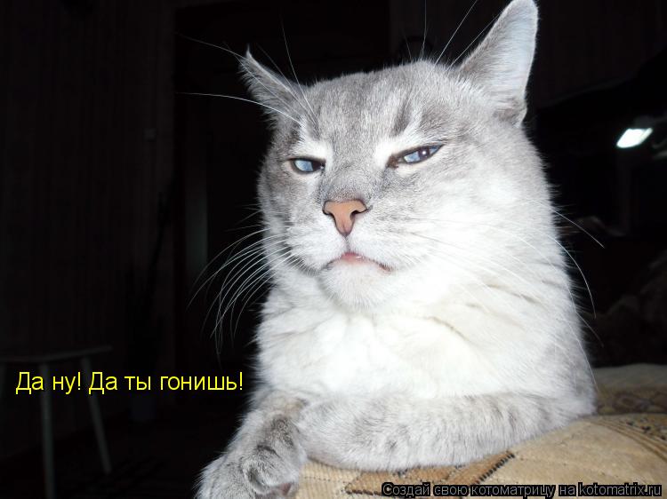 938020.jpg