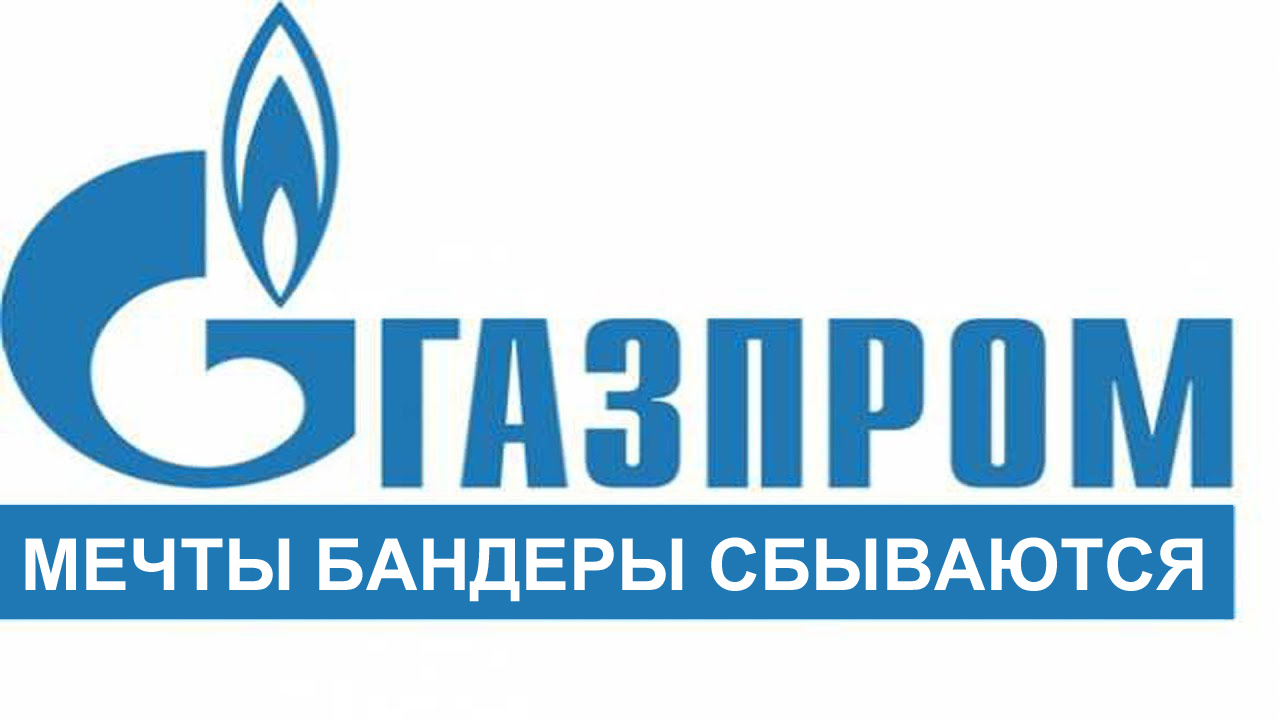 976461.jpg