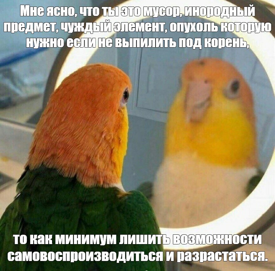 9b0cc29e28af43d8c87ad8fdbe65473b.jpg
