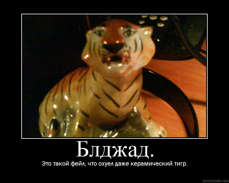 -13112087050387.jpg
