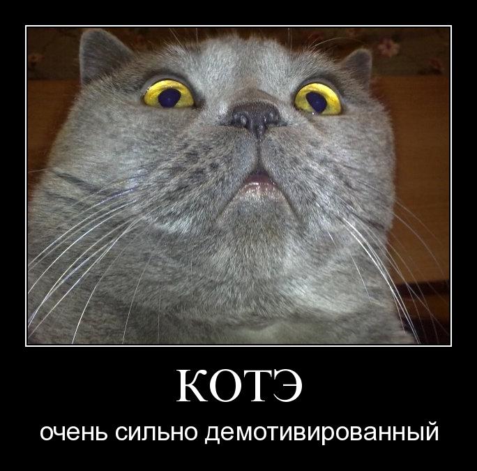 --76338.jpeg