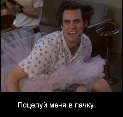 ace-ace-ventura-6606479-400-300.jpg