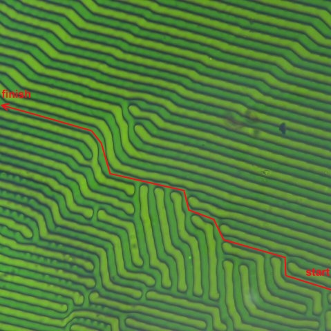 ae_247.jpg