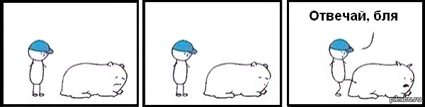 .PNG