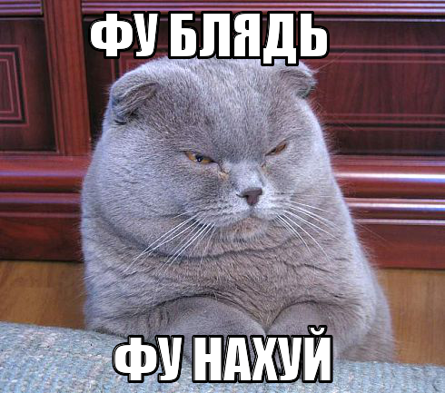 ,  -13270261844007.png