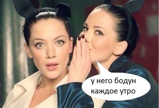 Amyg1Jtrr_w.jpg