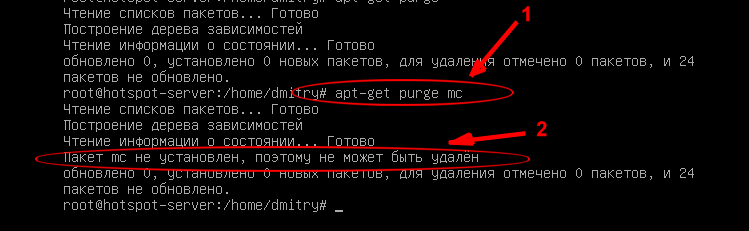 apt_get_purge.png