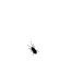 av-100330.gif