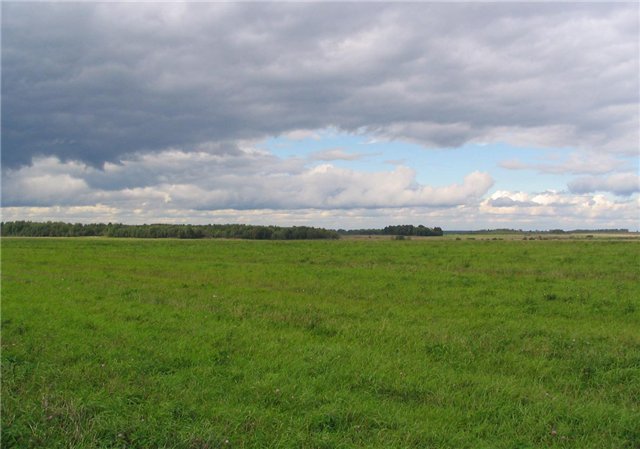 b252c6d0c671.jpg