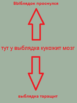 boro.png