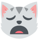 cat4.png