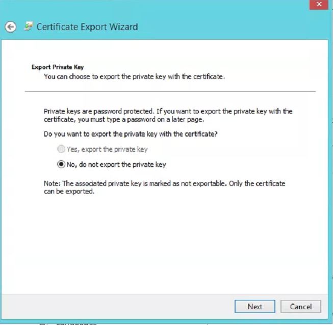 certificate 2.JPG