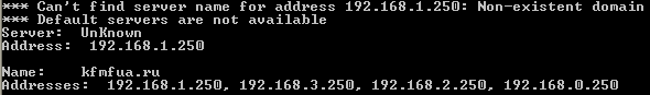 client_nslookup.png