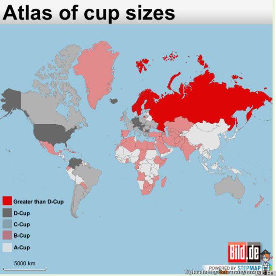 cup.jpg