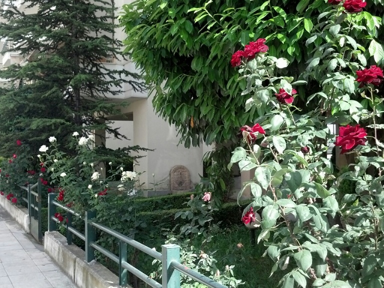CYMERA_20130519_170653.jpg