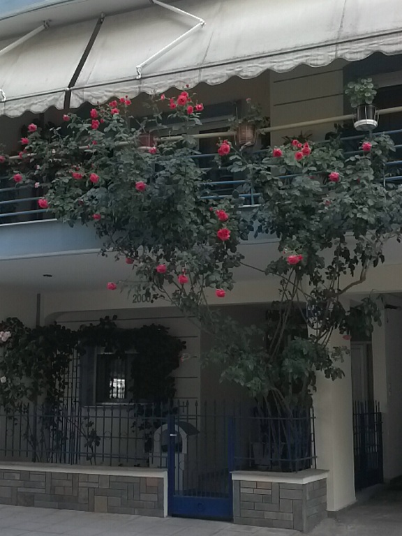 CYMERA_20130519_171653.jpg