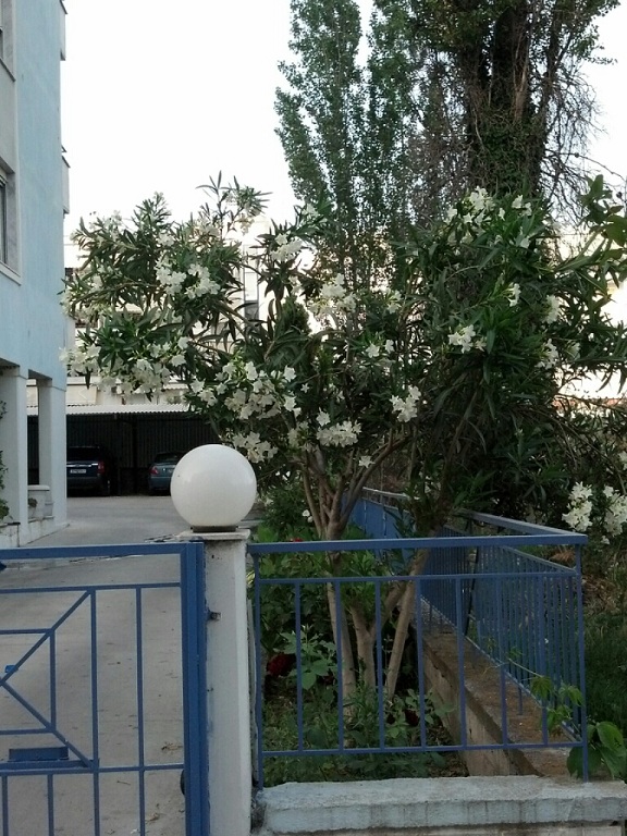 CYMERA_20130519_192634.jpg