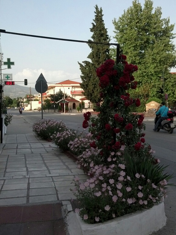 CYMERA_20130519_192921.jpg