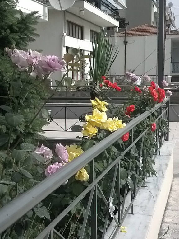 CYMERA_20130520_095253.jpg