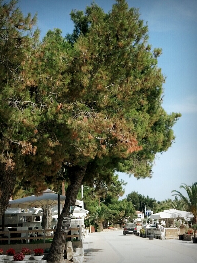 CYMERA_20130521_185753.jpg