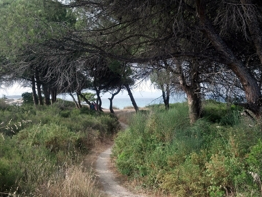 CYMERA_20130529_180606.jpg