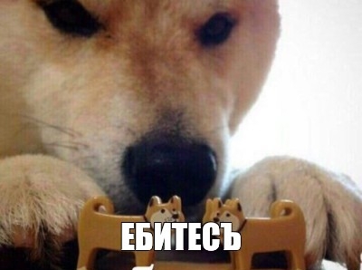 d06e74d34ec9cce6fab6efcfc584d996.jpg