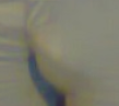 dba_202.png